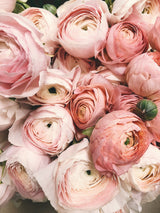 HOW TO HAVE A MINDFUL MOTHERS DAY