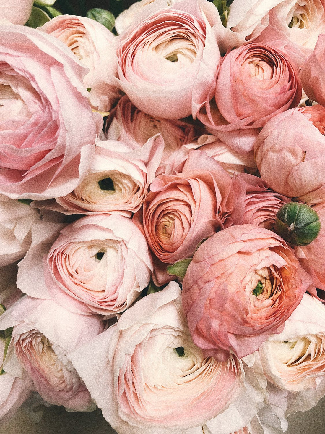 HOW TO HAVE A MINDFUL MOTHERS DAY